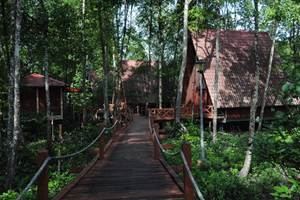 Matang Mangrove Forest Reserve, Kuala Sepetang